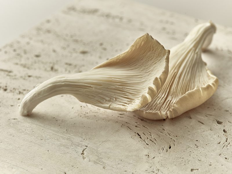 Natürliche Eleganz: Pure Essence